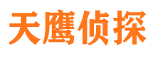 宝丰侦探公司